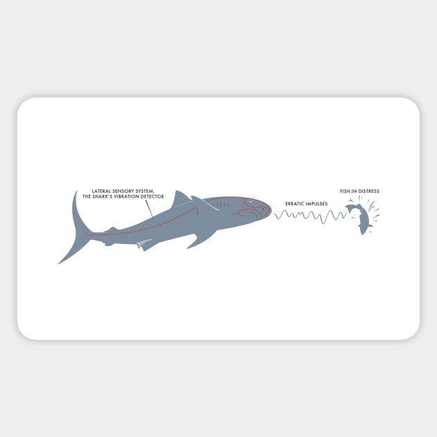 Jaws — Brody's Book Sticker by GraphicGibbon